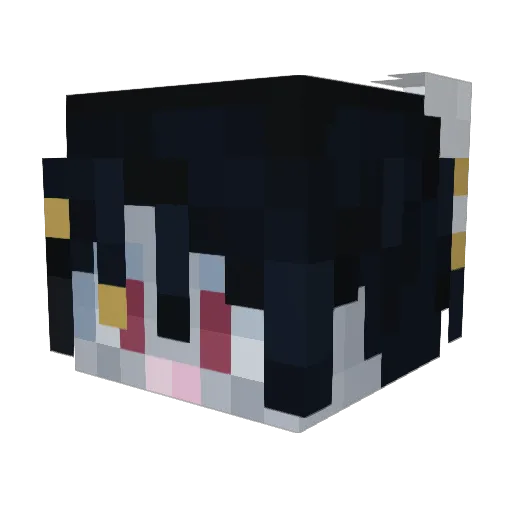 charmedbyincubus Minecraft avatar head, 3D render