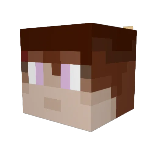 charmrcarr Minecraft avatar head, 3D render