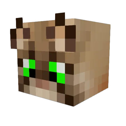 charraula Minecraft avatar head, 3D render