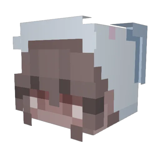 charry5314 Minecraft avatar head, 3D render
