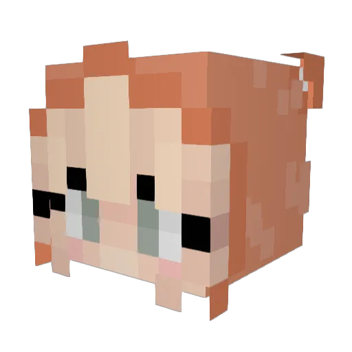 charthecar1993 Minecraft avatar head, 3D render