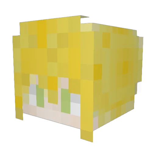 chase1430 Minecraft avatar head, 3D render