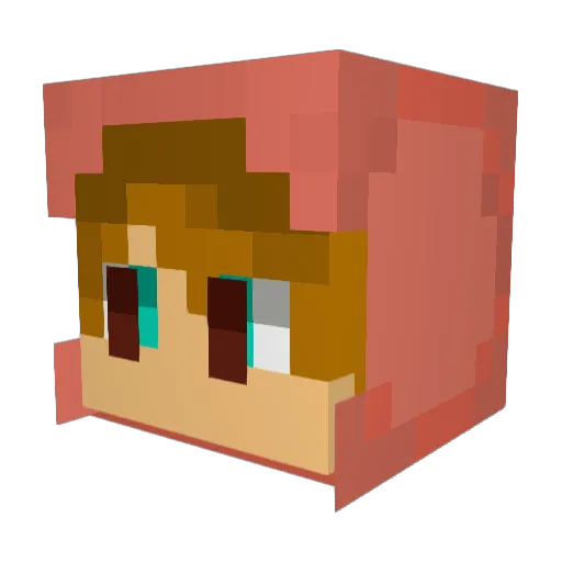 chasem2525 Minecraft avatar head, 3D render
