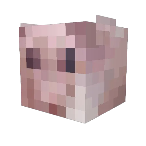 chasemcniff Minecraft avatar head, 3D render