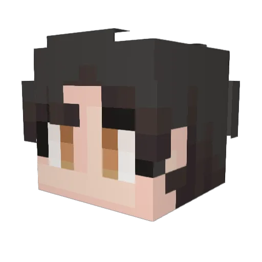 chasesn04 Minecraft avatar head, 3D render