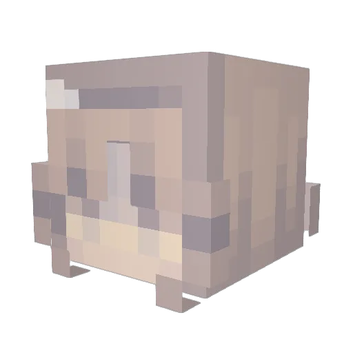 chasessa Minecraft avatar head, 3D render