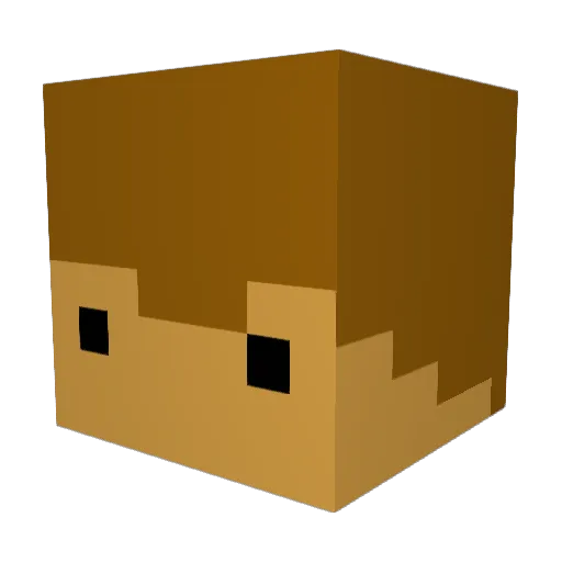 chaseydoi10 Minecraft avatar head, 3D render