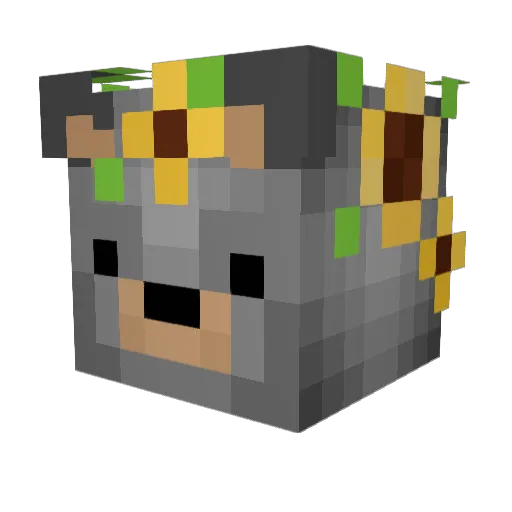 chasingbears Minecraft avatar head, 3D render