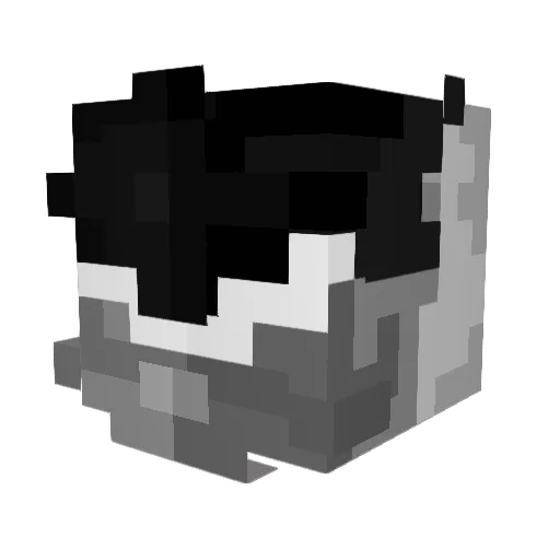 chassabre Minecraft avatar head, 3D render