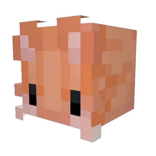 chatoraneko0602 Minecraft avatar head, 3D render