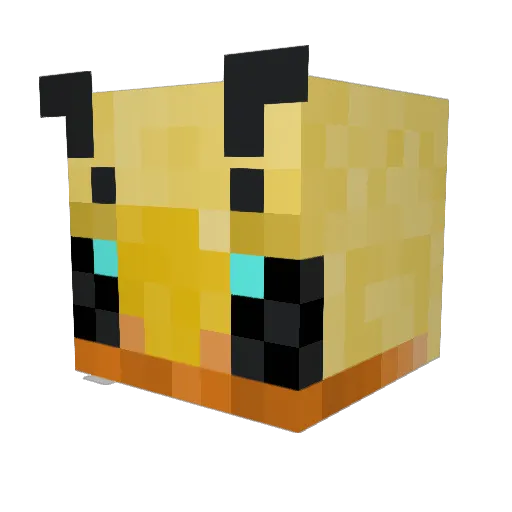 chayes2002 Minecraft avatar head, 3D render