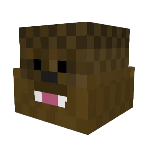 chaza12 Minecraft avatar head, 3D render