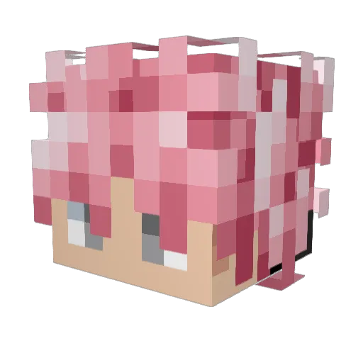 chaza9000 Minecraft avatar head, 3D render