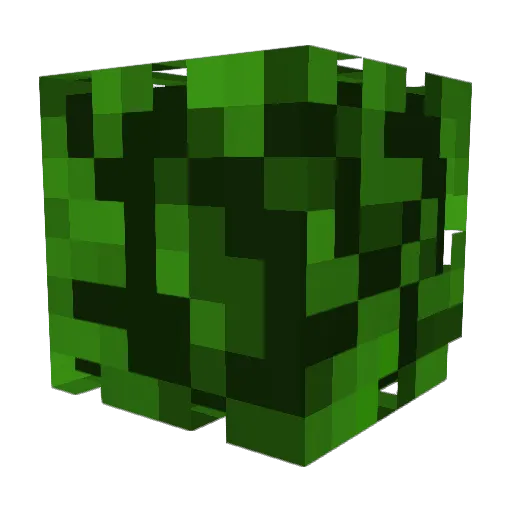 chazoell7 Minecraft avatar head, 3D render
