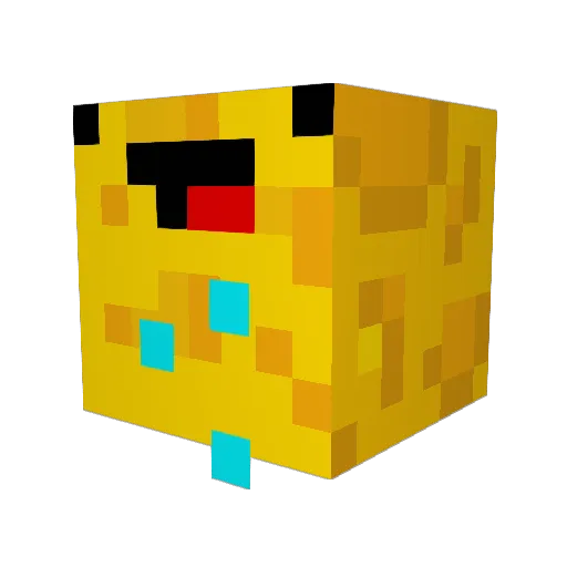 chaztheturtle Minecraft avatar head, 3D render