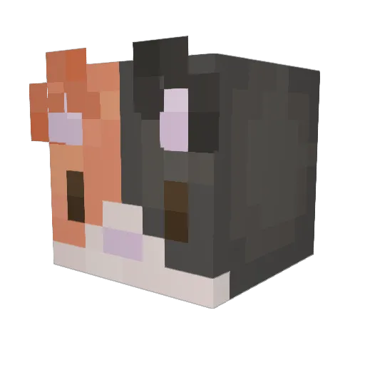 chcikenlegs Minecraft avatar head, 3D render