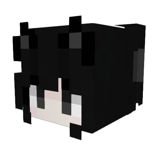 cheapestunspoil Minecraft avatar head, 3D render