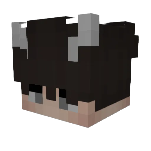 cheates Minecraft avatar head, 3D render
