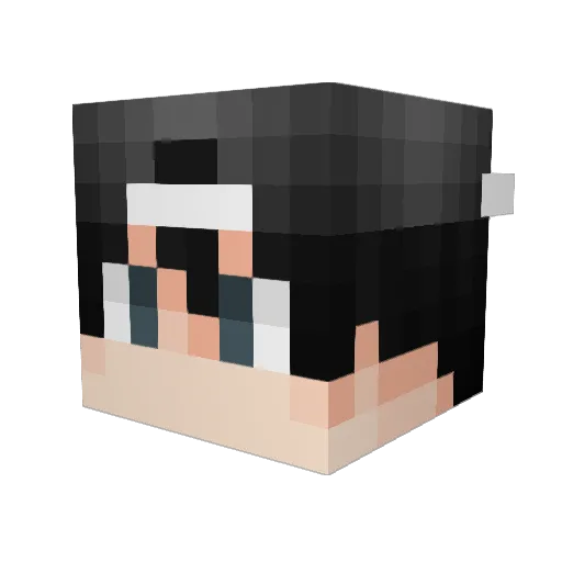 cheatingrlq Minecraft avatar head, 3D render