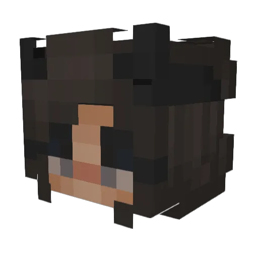 chechethecheetah Minecraft avatar head, 3D render