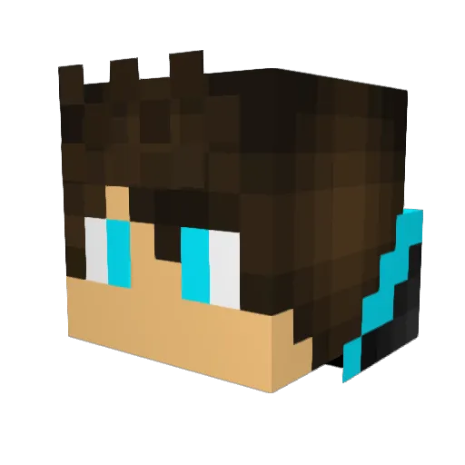 checker20 Minecraft avatar head, 3D render