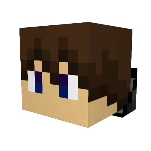checker240 Minecraft avatar head, 3D render