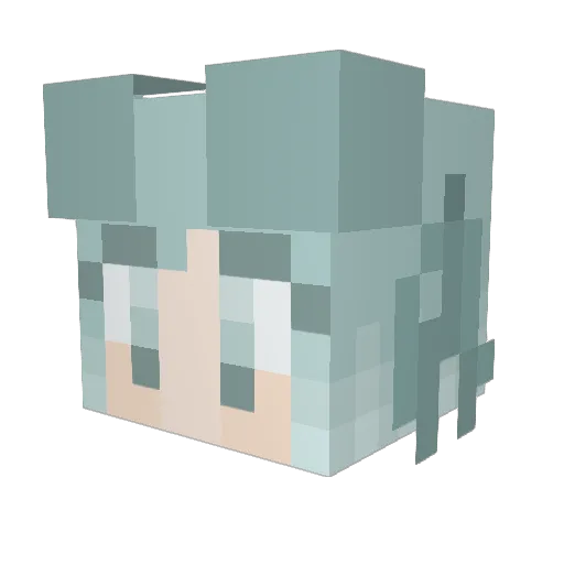 checoo Minecraft avatar head, 3D render