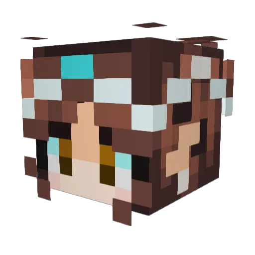 cheddarsoup8 Minecraft avatar head, 3D render