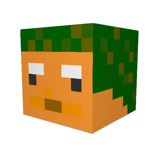 cheekynakedhobo Minecraft avatar head, 3D render