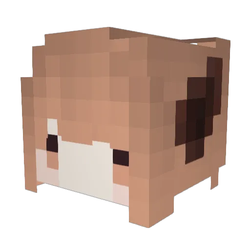 cheer030 Minecraft avatar head, 3D render