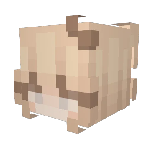 cheerfulCheetah7 Minecraft avatar head, 3D render