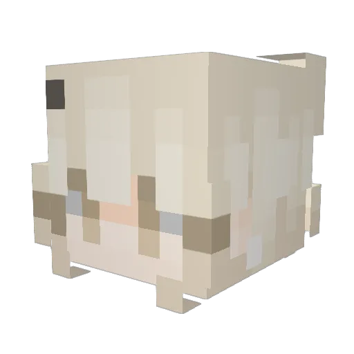cheerful_peach Minecraft avatar head, 3D render