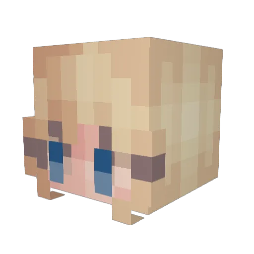 cheerfulplant Minecraft avatar head, 3D render