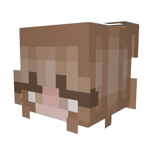cheerfwl Minecraft avatar head, 3D render