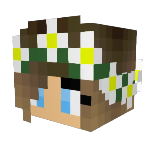 cheergirl100 Minecraft avatar head, 3D render