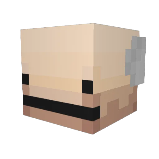 cheese_head_5000 Minecraft avatar head, 3D render