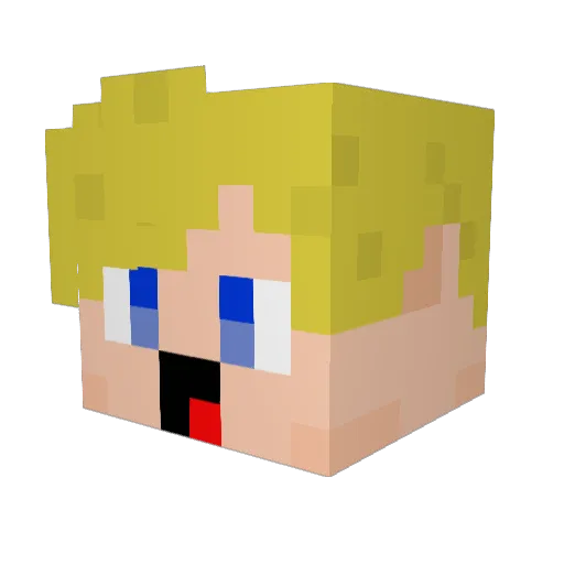 cheese_hunter69 Minecraft avatar head, 3D render