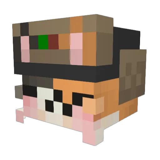 cheesecurdfan_ Minecraft avatar head, 3D render