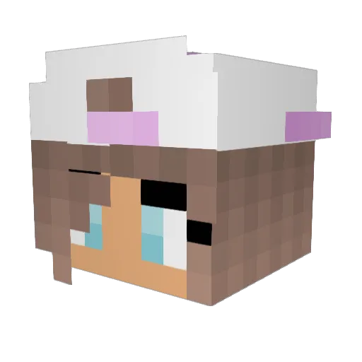 cheesehead2247 Minecraft avatar head, 3D render