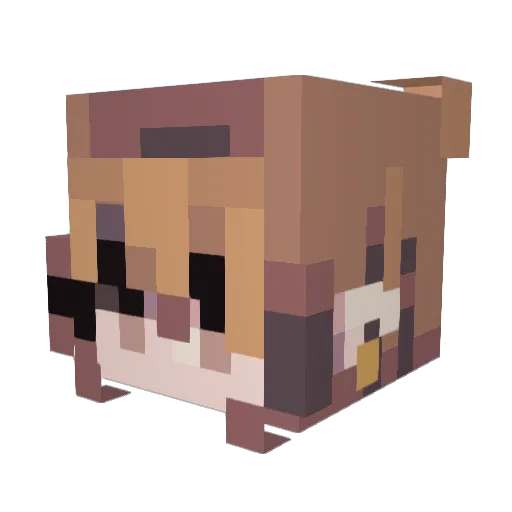 cheeseplak Minecraft avatar head, 3D render