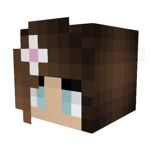 cheesepuff24 Minecraft avatar head, 3D render