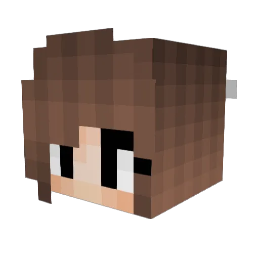 cheesepuffs2463 Minecraft avatar head, 3D render