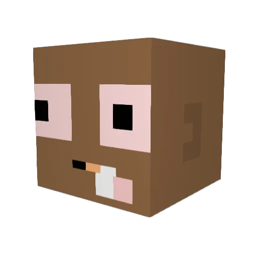 cheesus112 Minecraft avatar head, 3D render