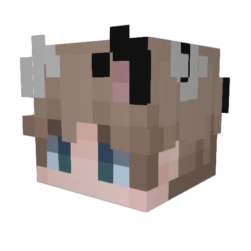 cheesy_crazy Minecraft avatar head, 3D render