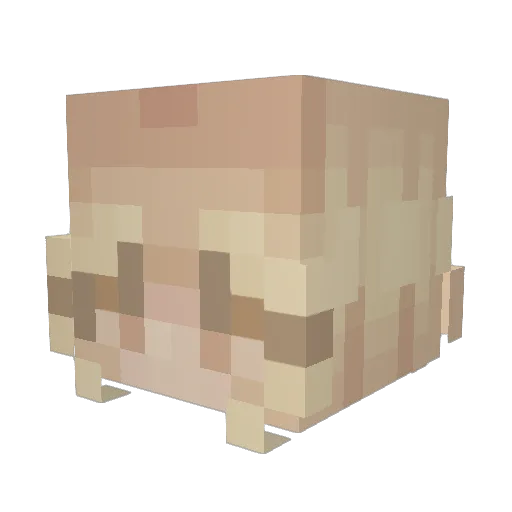 cheesypanda223 Minecraft avatar head, 3D render