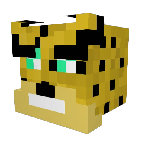 cheetahboy_1612 Minecraft avatar head, 3D render