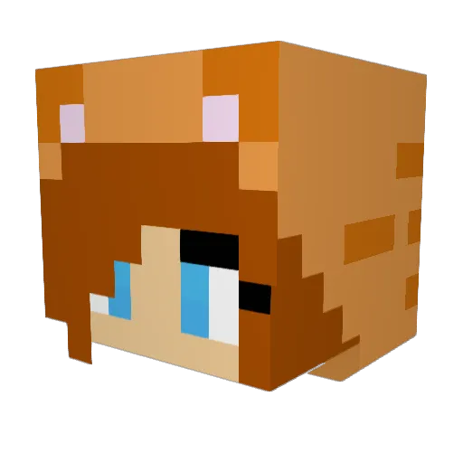 cheetahcheetah66 Minecraft avatar head, 3D render