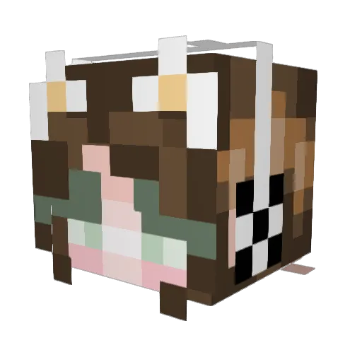 cheetahwolf15 Minecraft avatar head, 3D render