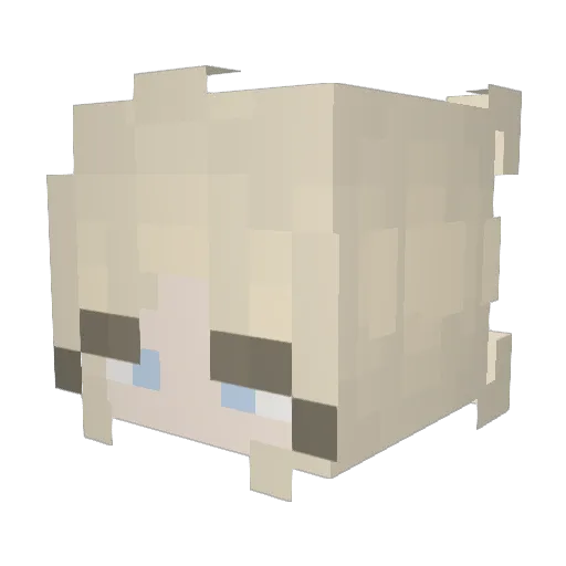 cheetobeeto Minecraft avatar head, 3D render