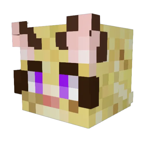 cheetoepaws Minecraft avatar head, 3D render